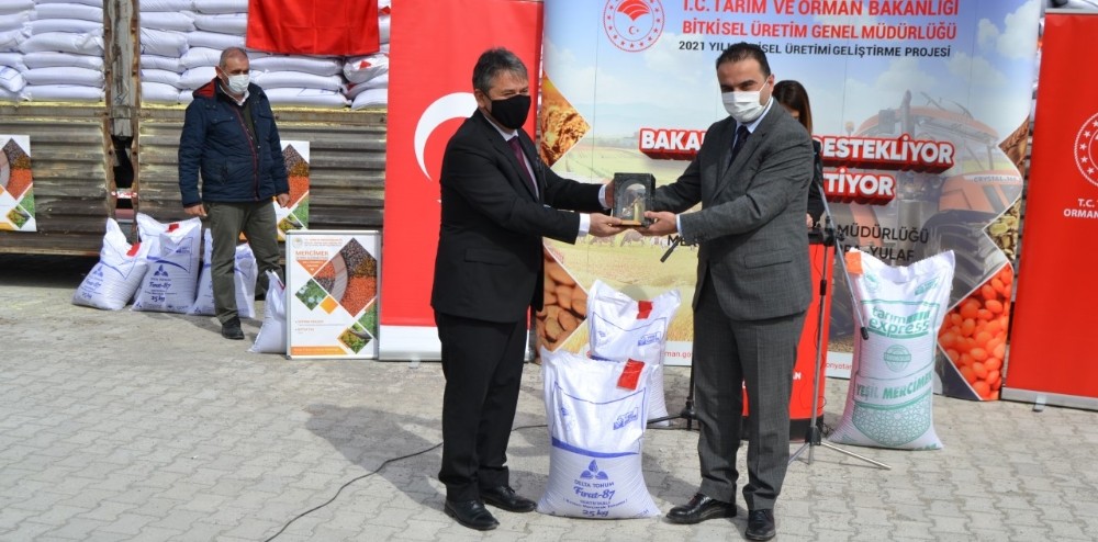 Kulu´da çiftçilere 107 ton sertifikalı mercimek tohumu dağıtıldı
