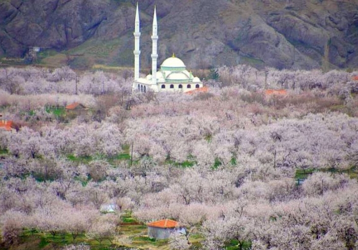 Malatya Bahçeleri Çiçek Beyazı Ama.. Riske Dikkat