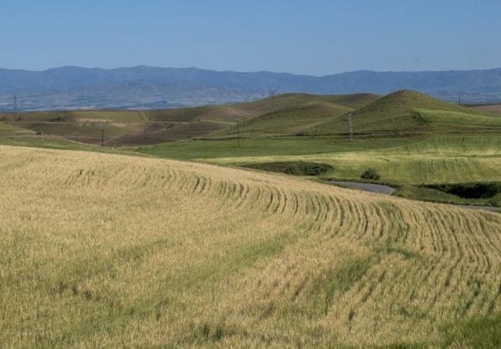 Malatyada 2 Aylık Yağışta Yüzde 60 Azalma