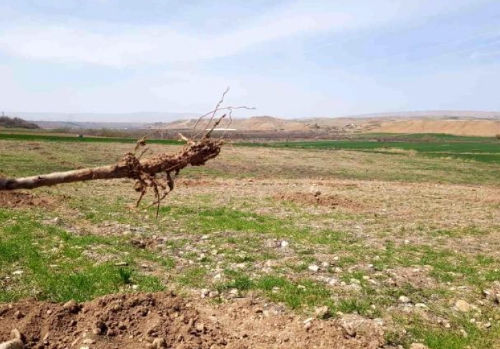 Malatyada Pes Dedirten Hırsızlık!