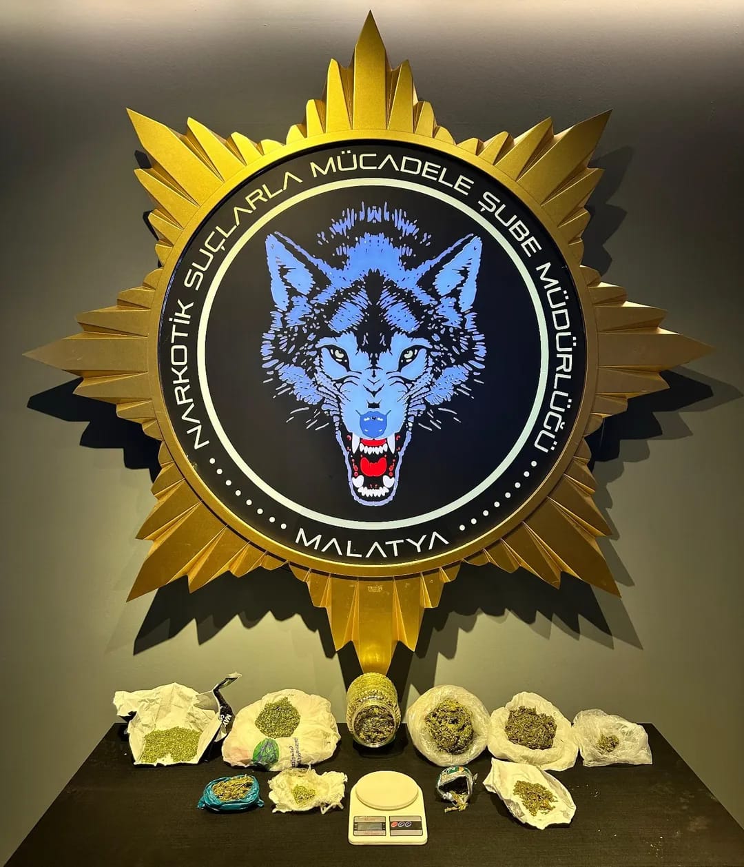 Malatya’da "Torbacı" Operasyonu: 800 Gram Esrarla Yakalanan Şahıs Tutuklandı