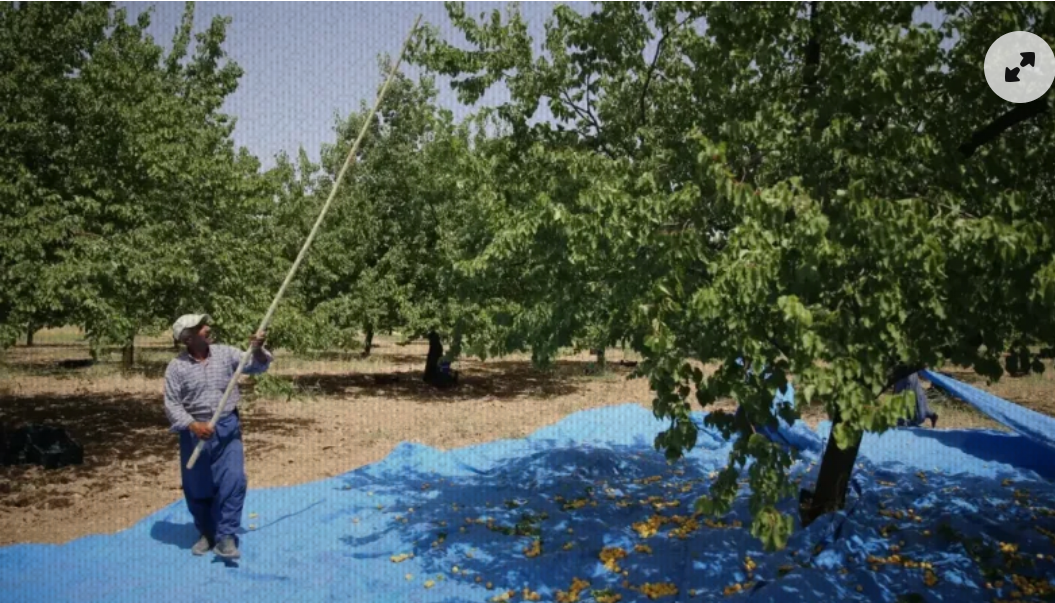 Malatya’da zorlu mesaiyi başladı!