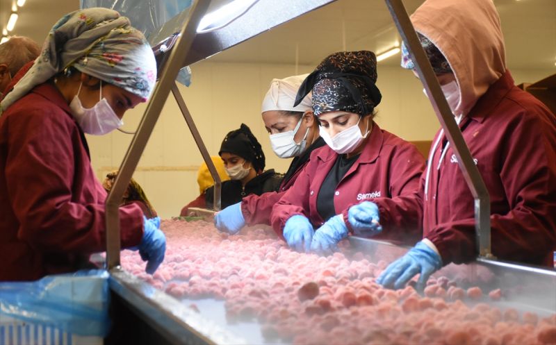 Malatya'dan Yapılan İhracatta Artış..