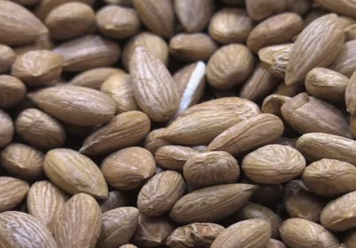 Malatya kayısı çekirdeğinin ihracat geliri yeni sezonda yüzde 110 arttı