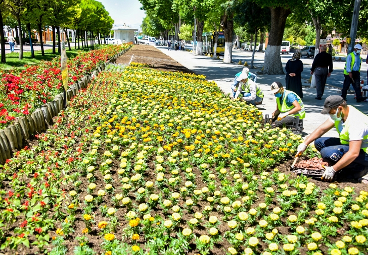 Malatya Parkları Yazlık Çiçeklerle Süsleniyor
