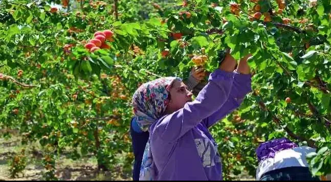 Malatya Valiliği Duyurdu: Son Gün 2 Ocak