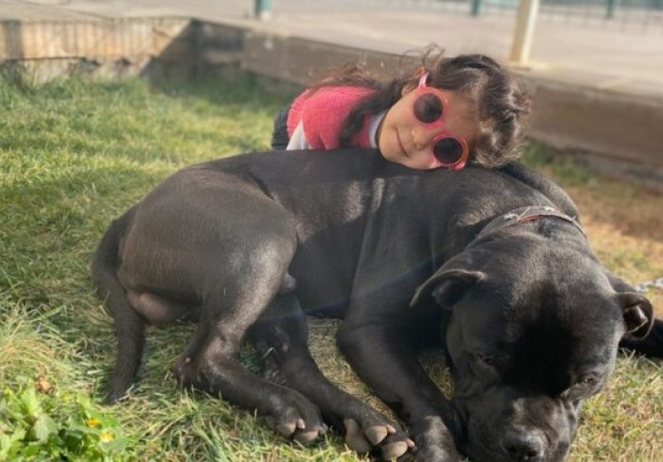 Minik Asiyenin söz konusu köpeklerle fotoğrafları ortaya çıktı