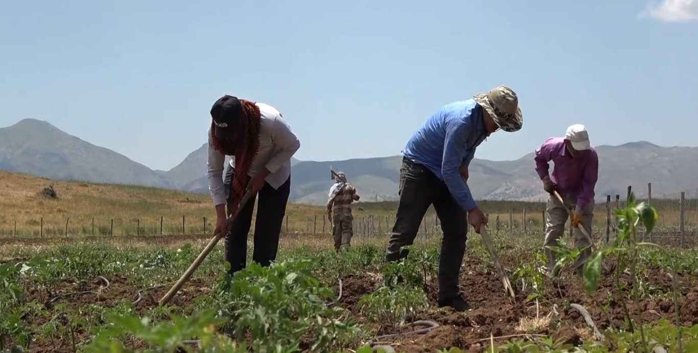 Muş'ta 30 yıl sonra bir ilk: Köylerine dönüp tarıma başladılar