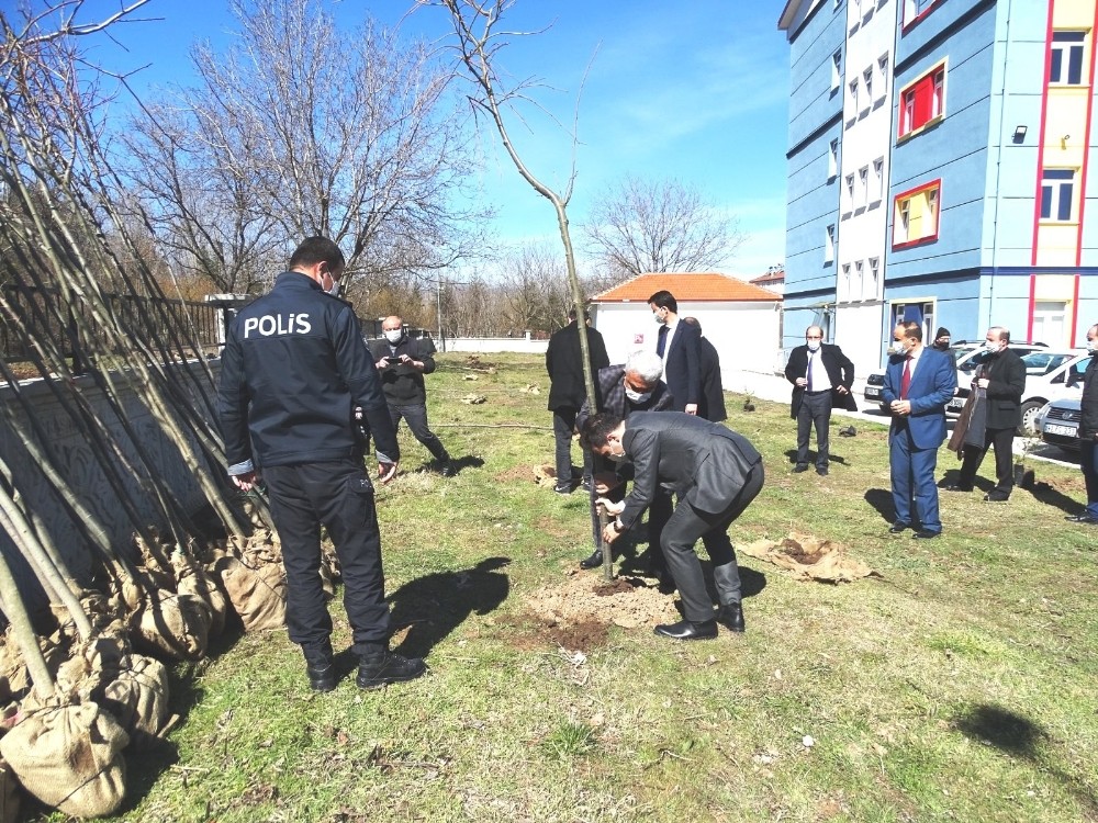 Okul bahçesine 410 fidan dikildi
