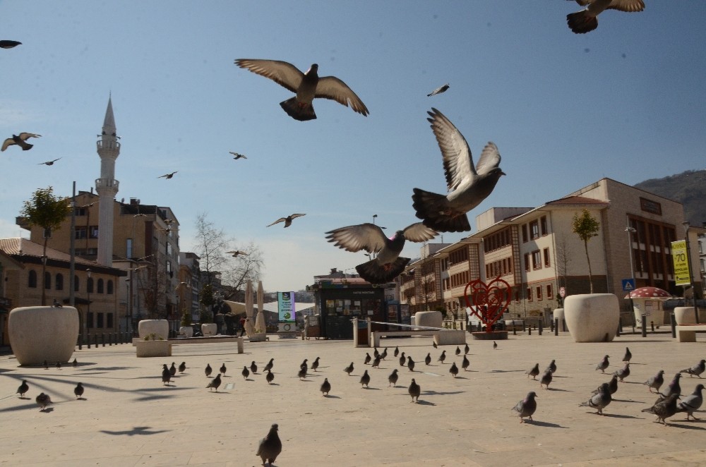 Ordu´da korona virüs sessizliği
