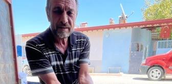 Organik Gün Kurusu Kayısının Tanesi 2 TL