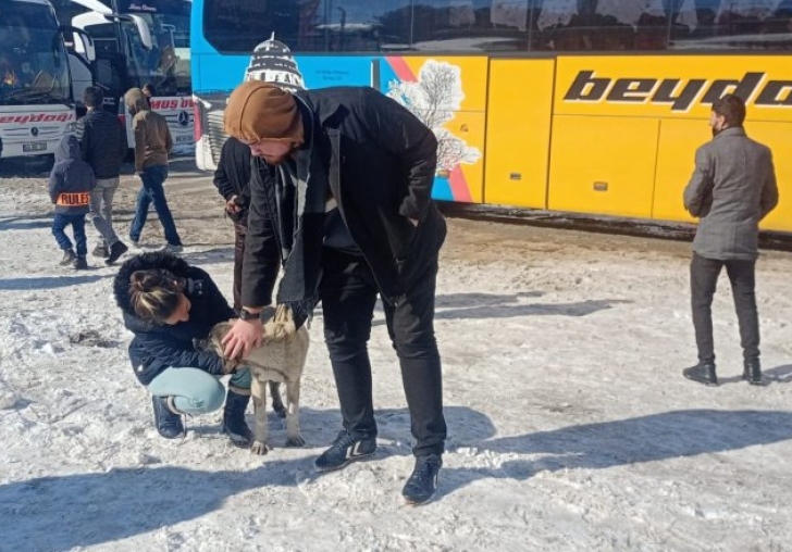 Otobüslerle mahsur kalan yolcular köpek besleyerek zaman geçiyor