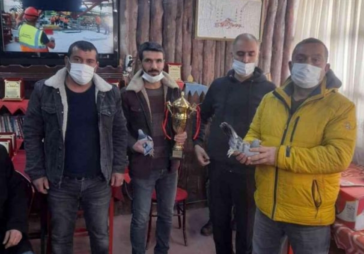 Otomobil fiyatına güvercin