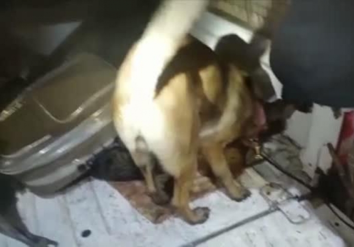 Otomobilinde uyuşturucu bulunan zanlı gözaltına alındı