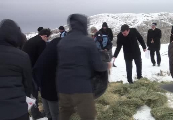 Pütürge'de yaban hayvanları unutulmadı