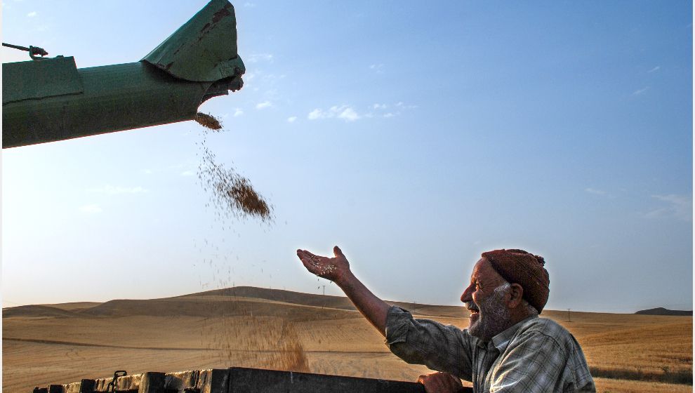 Rusya'dan Gelecek Yağ Gemilerini Beklerken Malatya'da Tarım