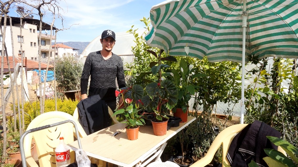 Sarıgöl´de fidan satışları hız kazandı
