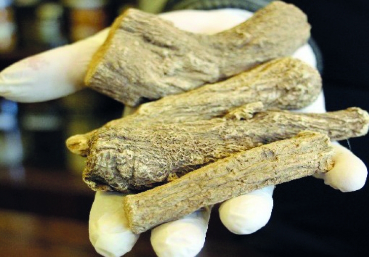 Şifa deposu bitkilerin bu faydalarını biliyor muydunuz?