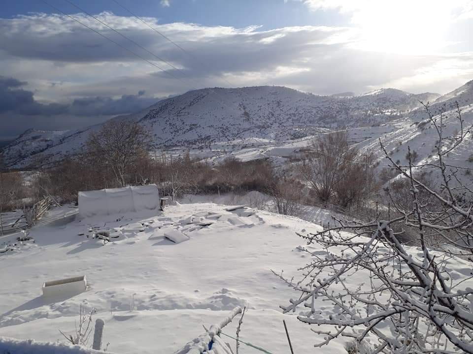 Şuhut´ta kar yağışı
