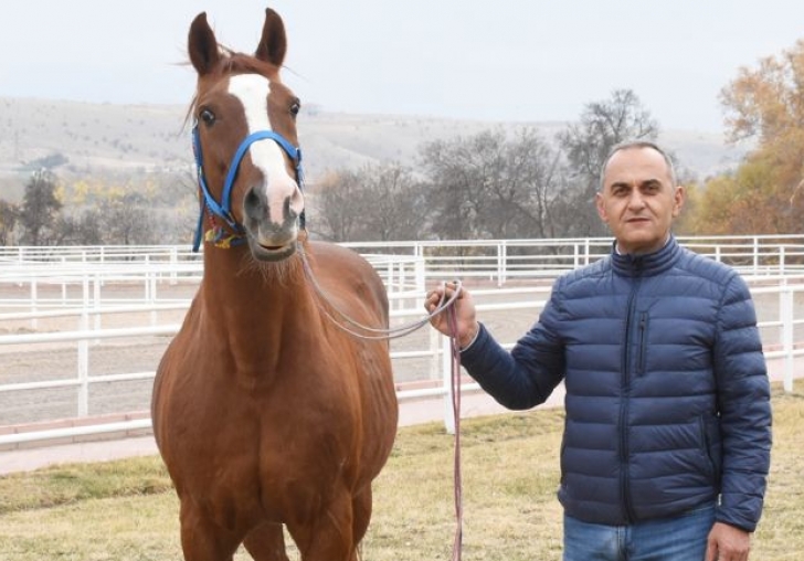 Sultansuyuna, At Satışından 12 Milyon TL Gelir