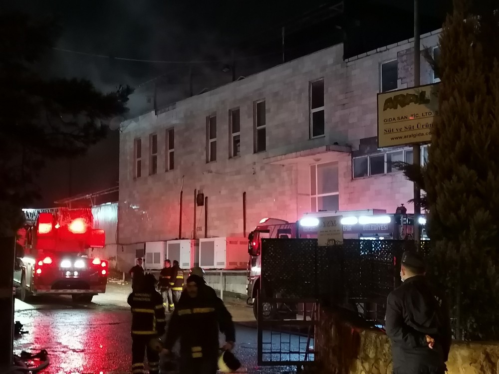 Süt fabrikası alevlere teslim oldu, 200 güvercin telef oldu
