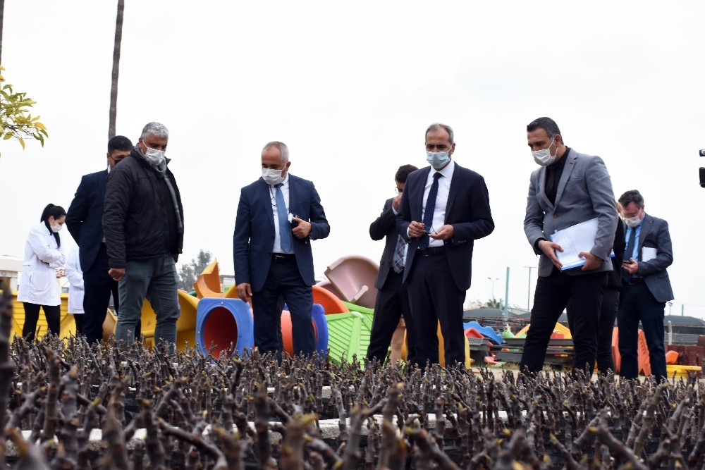 Tarsus Belediyesinin kırsal kalkınma hareketi devam ediyor
