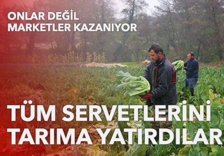 Tüm servetlerini tarıma yatırdılar: Ailecek yağmur çamur dinlemeden çalışıyorlar