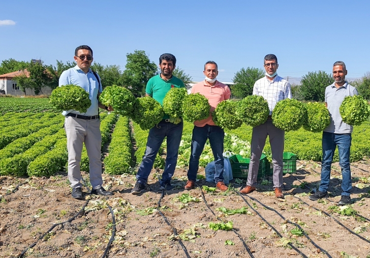 Üreticiden Tüketiciye Sunulacak 