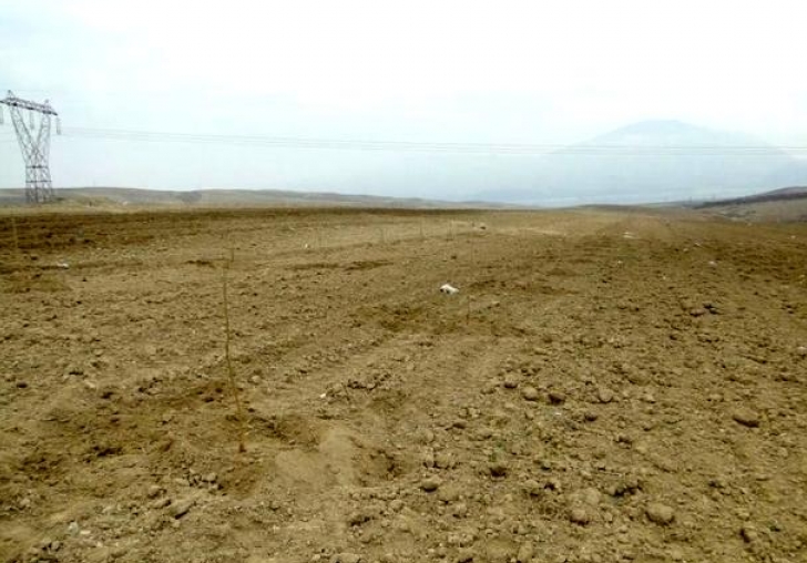 Üretime katkı için mera ve yaylaklar kiralanacak