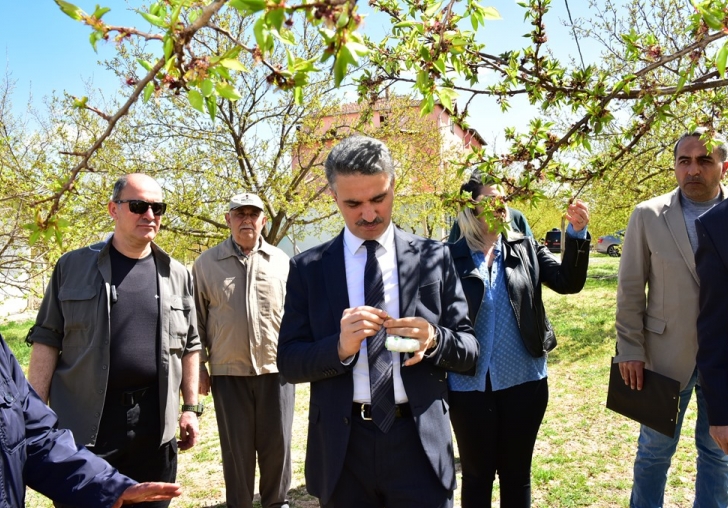 Vali Baruş Zirai Don Nedeniyle Hasar Gören Kayısı Bahçelerinde İncelemelerde Bulundu