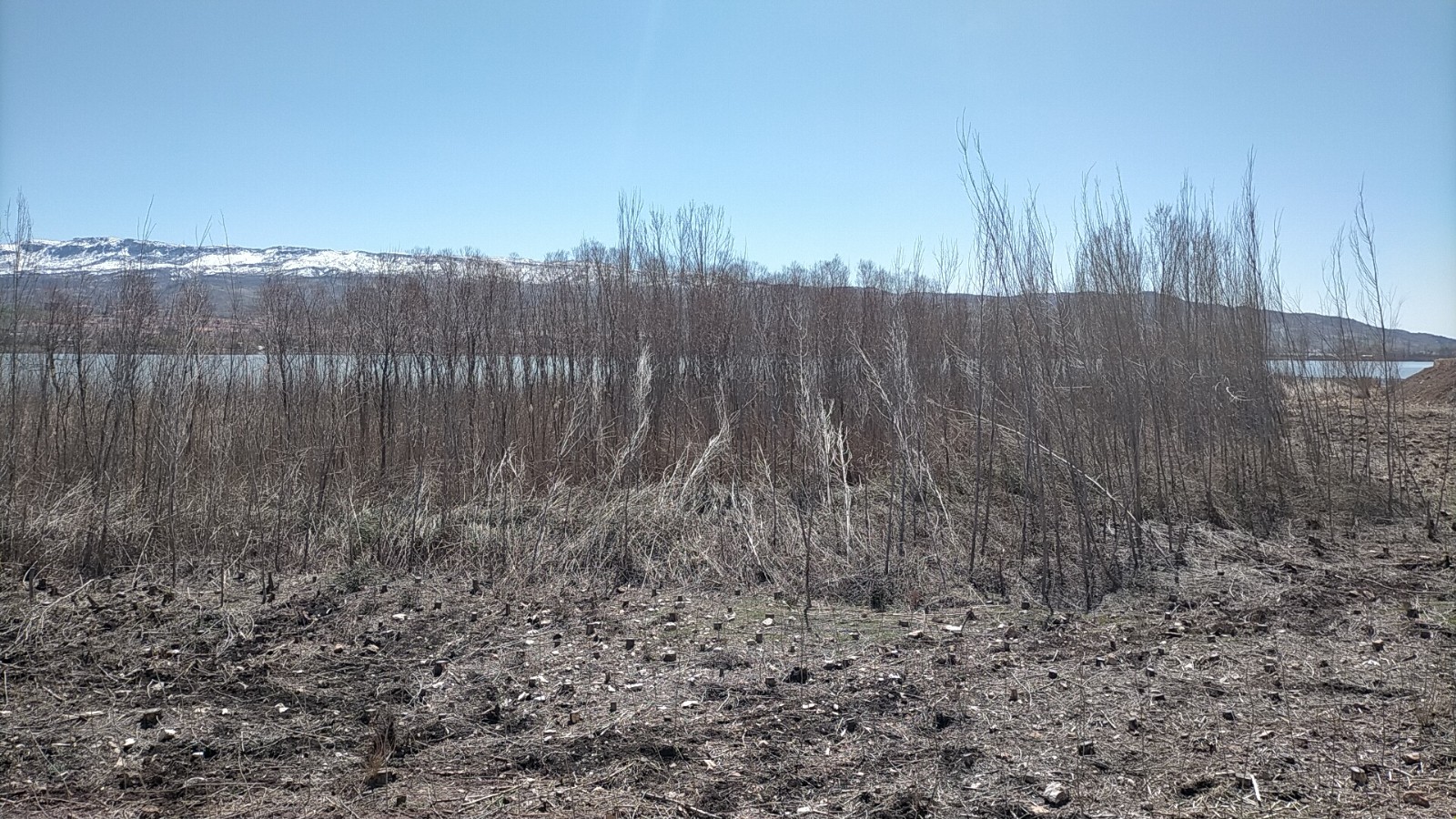 Yağmur ve şiddetli rüzgar sazlık alanda hasar bıraktı
