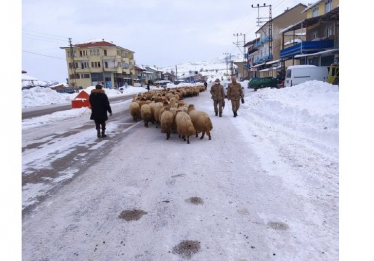 Yoğun kar yayladaki sürüleri yerinden etti 