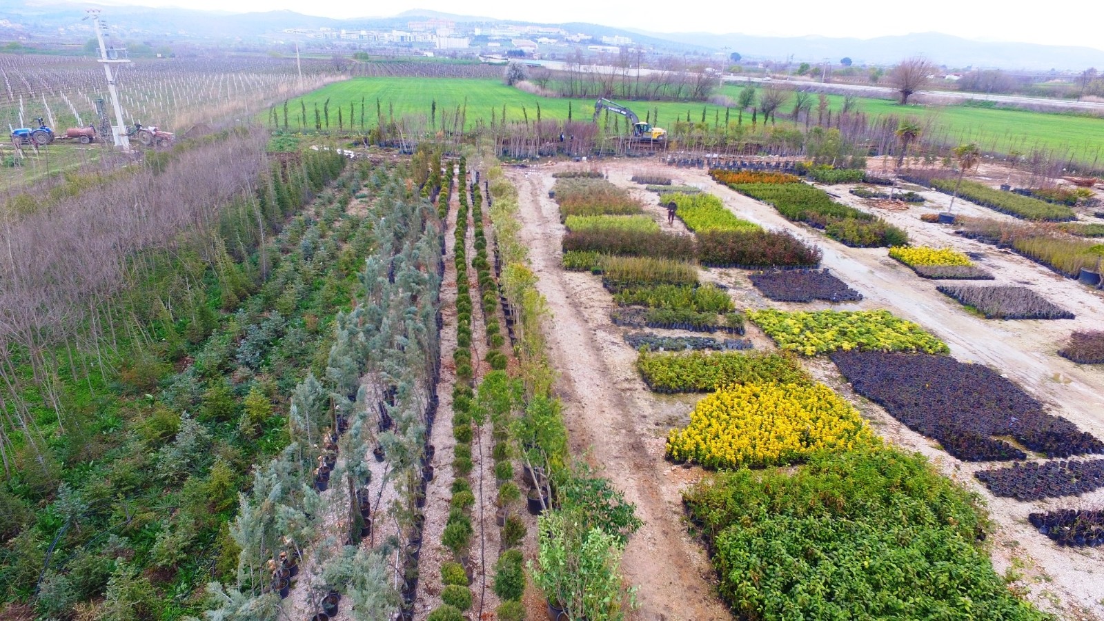 Yunusemre´de 50 bin fidan ve çalı bahara hazırlanıyor
